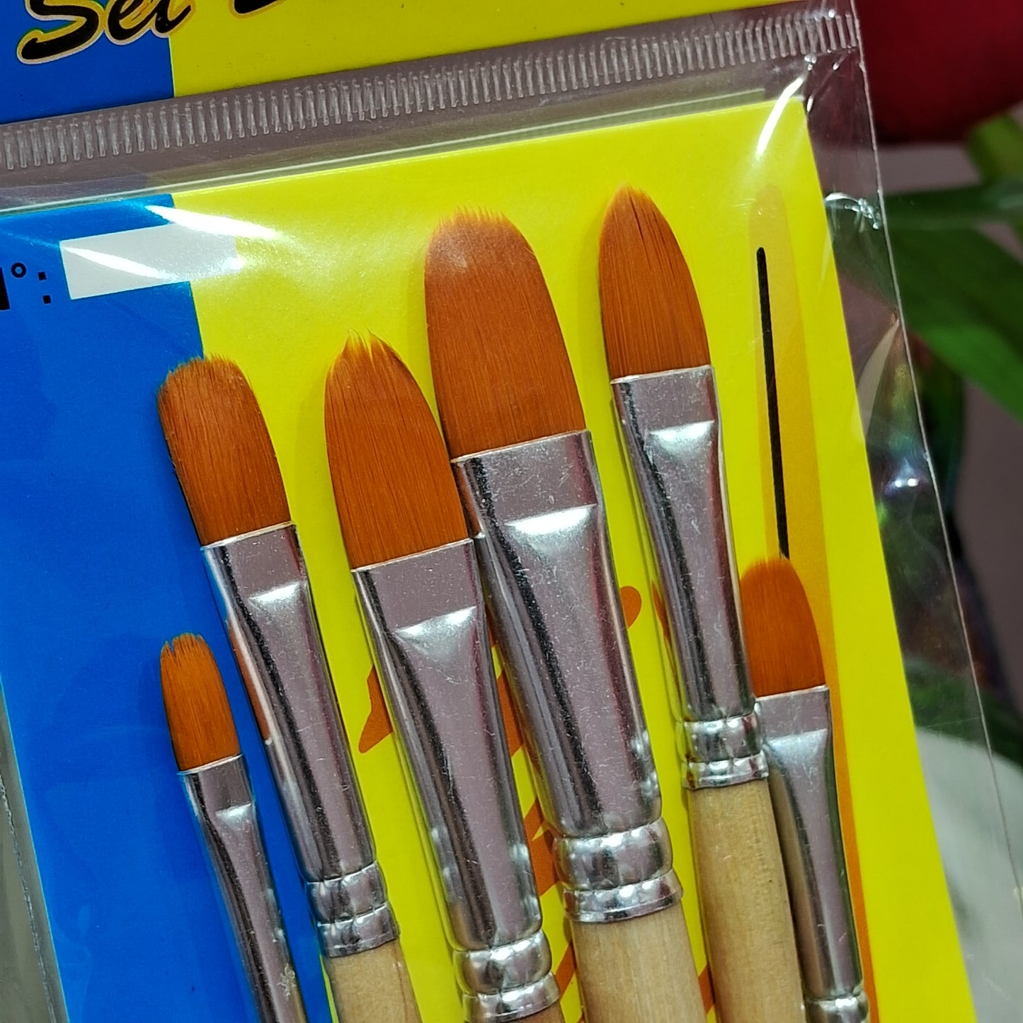 00291sku- Pincel Lengua de gato set de 6 piezas